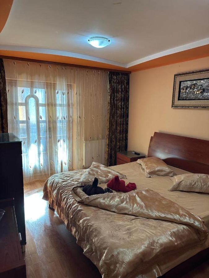 Apartament Casa Alexia Botoşani Buitenkant foto