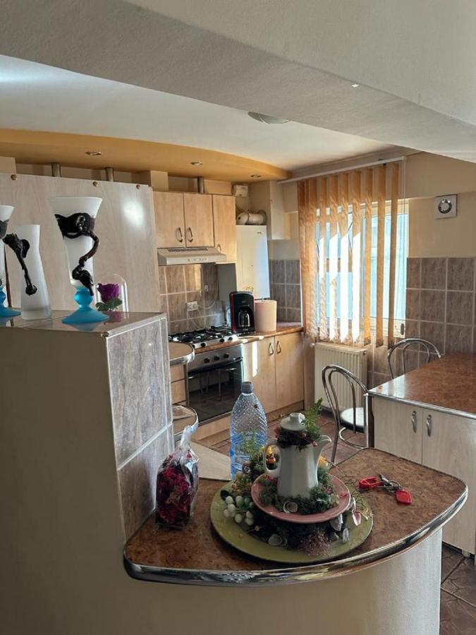 Apartament Casa Alexia Botoşani Buitenkant foto