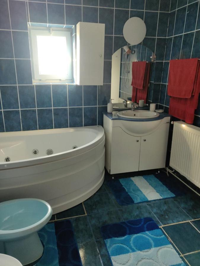 Apartament Casa Alexia Botoşani Buitenkant foto